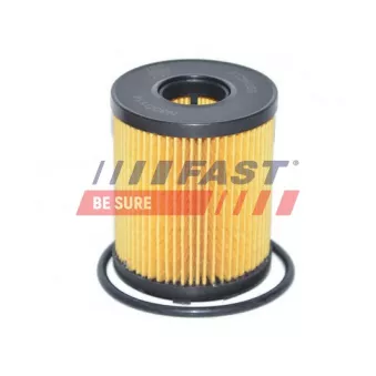 Filtre à huile FAST FT38060