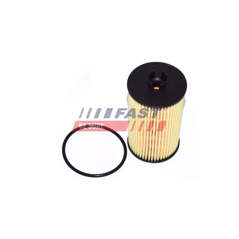 Filtre à huile FAST FT38066