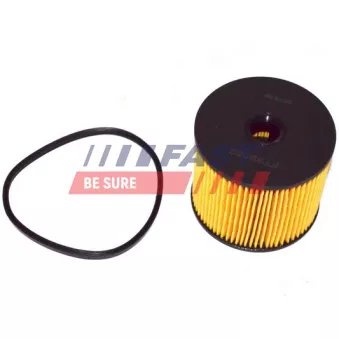 Filtre à carburant FAST