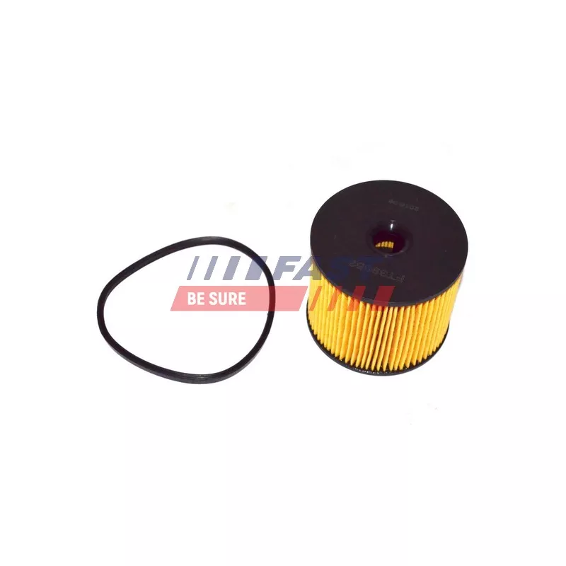 Filtre à carburant FAST FT39052