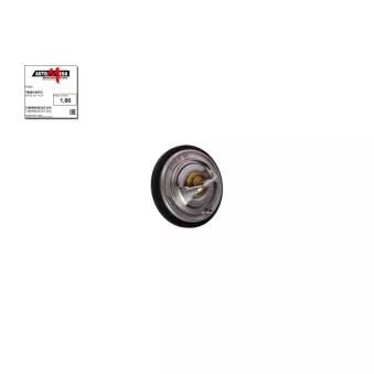 Thermostat d'eau AUTOMEGA 160014510