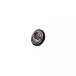 Thermostat d'eau AUTOMEGA 160014510 - Visuel 2