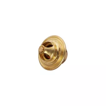 Thermostat d'eau AUTOMEGA 160047010