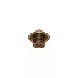 Thermostat d'eau AUTOMEGA 160047010 - Visuel 3