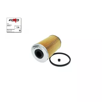 Filtre à carburant AUTOMEGA 180009110