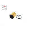 Filtre à carburant AUTOMEGA 180012510 - Visuel 1
