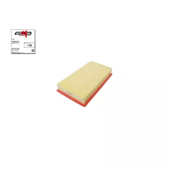 Filtre à air AUTOMEGA 180020310