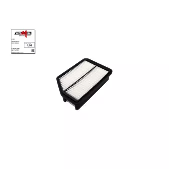 Filtre à air AUTOMEGA 250051610