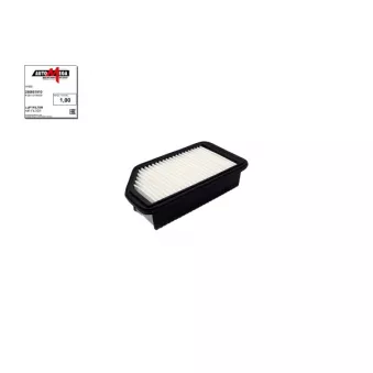 Filtre à air AUTOMEGA 250051910