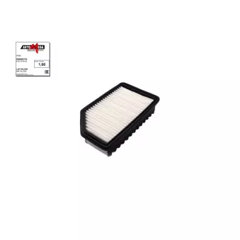 Filtre à air AUTOMEGA