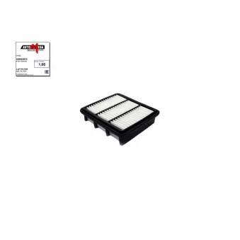Filtre à air AUTOMEGA 250052910
