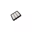 Filtre à air AUTOMEGA 250052910 - Visuel 2
