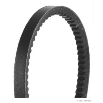Courroie trapézoïdale HERTH+BUSS JAKOPARTS J1131000