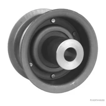 Poulie renvoi/transmission, courroie de distribution HERTH+BUSS JAKOPARTS J1141004
