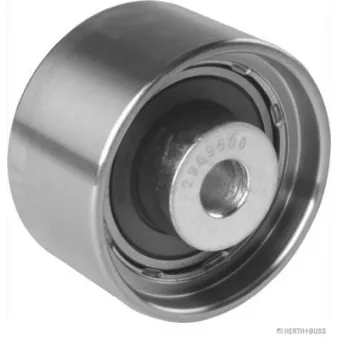 Poulie renvoi/transmission, courroie de distribution HERTH+BUSS JAKOPARTS