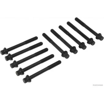 Jeu de boulons de culasse de cylindre HERTH+BUSS JAKOPARTS J1280314