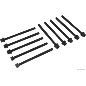 Jeu de boulons de culasse de cylindre HERTH+BUSS JAKOPARTS J1280319