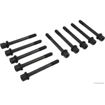Jeu de boulons de culasse de cylindre HERTH+BUSS JAKOPARTS J1280501