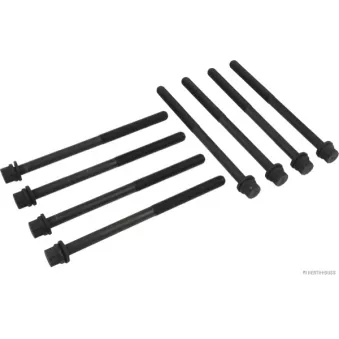 Jeu de boulons de culasse de cylindre HERTH+BUSS JAKOPARTS J1280502