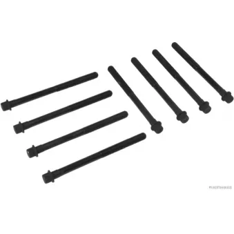 Jeu de boulons de culasse de cylindre HERTH+BUSS JAKOPARTS J1280508