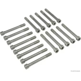 Jeu de boulons de culasse de cylindre HERTH+BUSS JAKOPARTS J1280509
