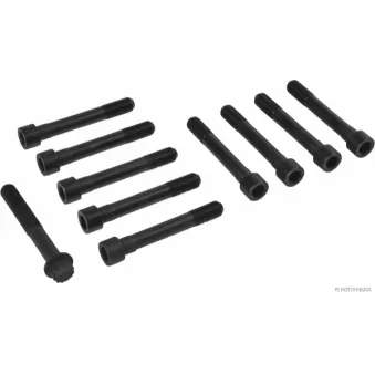 Jeu de boulons de culasse de cylindre HERTH+BUSS JAKOPARTS