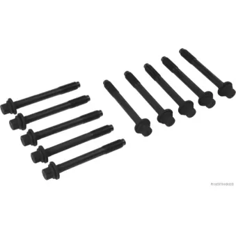 Jeu de boulons de culasse de cylindre HERTH+BUSS JAKOPARTS J1280518
