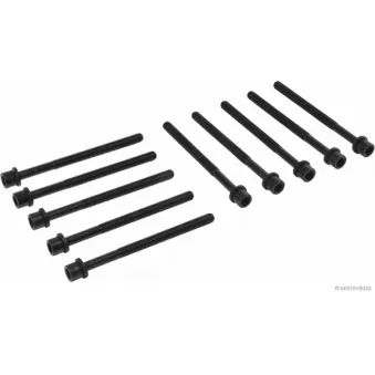Jeu de boulons de culasse de cylindre HERTH+BUSS JAKOPARTS J1280520
