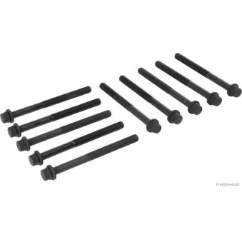 Jeu de boulons de culasse de cylindre HERTH+BUSS JAKOPARTS J1280528