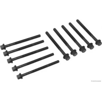 Jeu de boulons de culasse de cylindre HERTH+BUSS JAKOPARTS J1280906