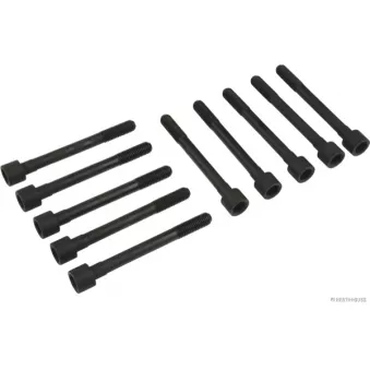 Jeu de boulons de culasse de cylindre HERTH+BUSS JAKOPARTS J1281018