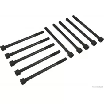 Jeu de boulons de culasse de cylindre HERTH+BUSS JAKOPARTS J1281023
