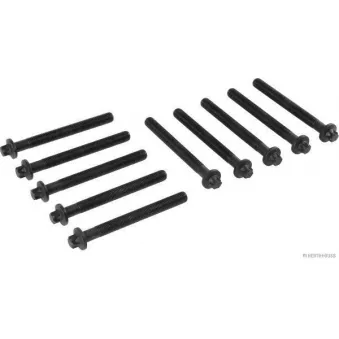 Jeu de boulons de culasse de cylindre HERTH+BUSS JAKOPARTS J1281038