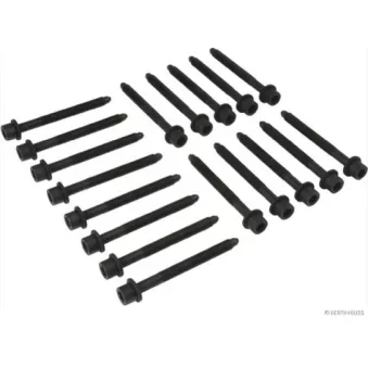 Jeu de boulons de culasse de cylindre HERTH+BUSS JAKOPARTS J1281042