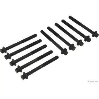 Jeu de boulons de culasse de cylindre HERTH+BUSS JAKOPARTS J1281051