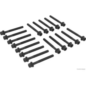 Jeu de boulons de culasse de cylindre HERTH+BUSS JAKOPARTS J1281056