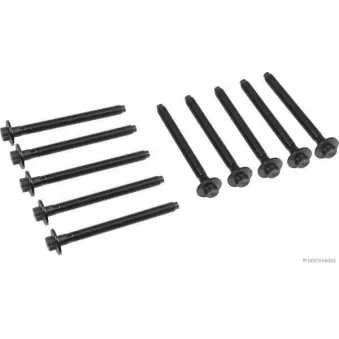 Jeu de boulons de culasse de cylindre HERTH+BUSS JAKOPARTS J1281057