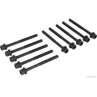 Jeu de boulons de culasse de cylindre HERTH+BUSS JAKOPARTS J1281059