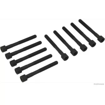 Jeu de boulons de culasse de cylindre HERTH+BUSS JAKOPARTS J1282020