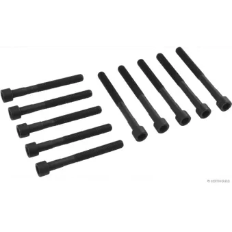 Jeu de boulons de culasse de cylindre HERTH+BUSS JAKOPARTS J1282024