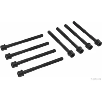 Jeu de boulons de culasse de cylindre HERTH+BUSS JAKOPARTS J1282038