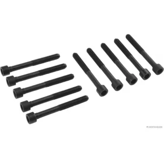 Jeu de boulons de culasse de cylindre HERTH+BUSS JAKOPARTS J1282053