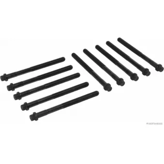 Jeu de boulons de culasse de cylindre HERTH+BUSS JAKOPARTS J1282055