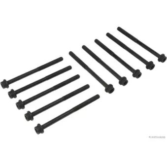 Jeu de boulons de culasse de cylindre HERTH+BUSS JAKOPARTS J1283004