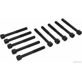 Jeu de boulons de culasse de cylindre HERTH+BUSS JAKOPARTS J1283007