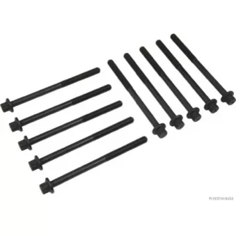 Jeu de boulons de culasse de cylindre HERTH+BUSS JAKOPARTS J1283018