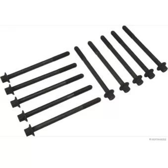 Jeu de boulons de culasse de cylindre HERTH+BUSS JAKOPARTS J1283026