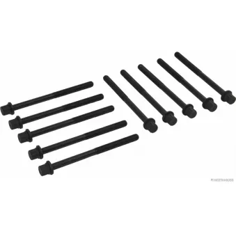 Jeu de boulons de culasse de cylindre HERTH+BUSS JAKOPARTS J1284004