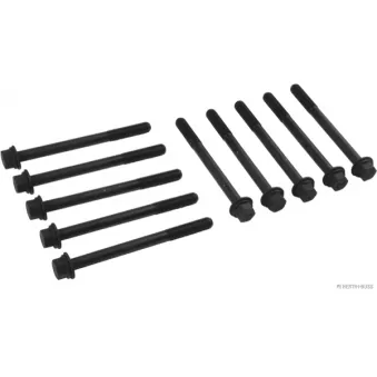 Jeu de boulons de culasse de cylindre HERTH+BUSS JAKOPARTS J1284009