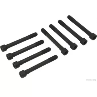 Jeu de boulons de culasse de cylindre HERTH+BUSS JAKOPARTS J1285000